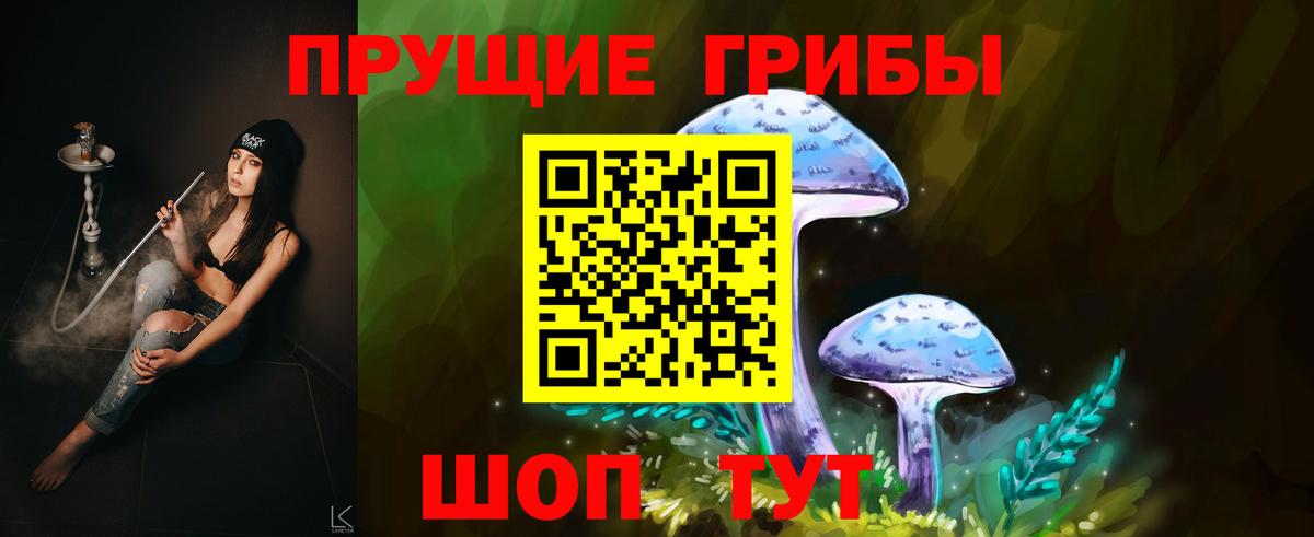 Сунжа  Галлюциногенные грибы прущие грибы  Вход с VPN 